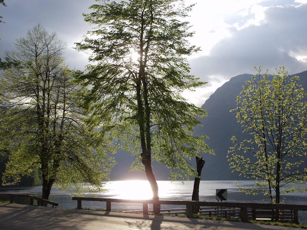 Apartments And Rooms Cerkovnik Bohinj ภายนอก รูปภาพ