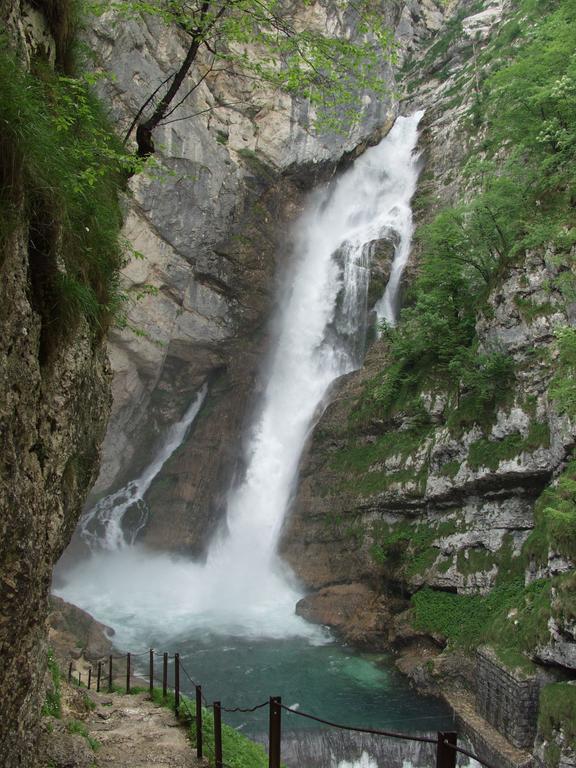 Apartments And Rooms Cerkovnik Bohinj ภายนอก รูปภาพ