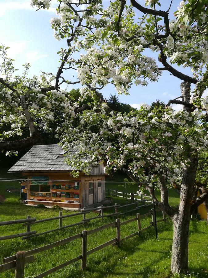 Apartments And Rooms Cerkovnik Bohinj ภายนอก รูปภาพ