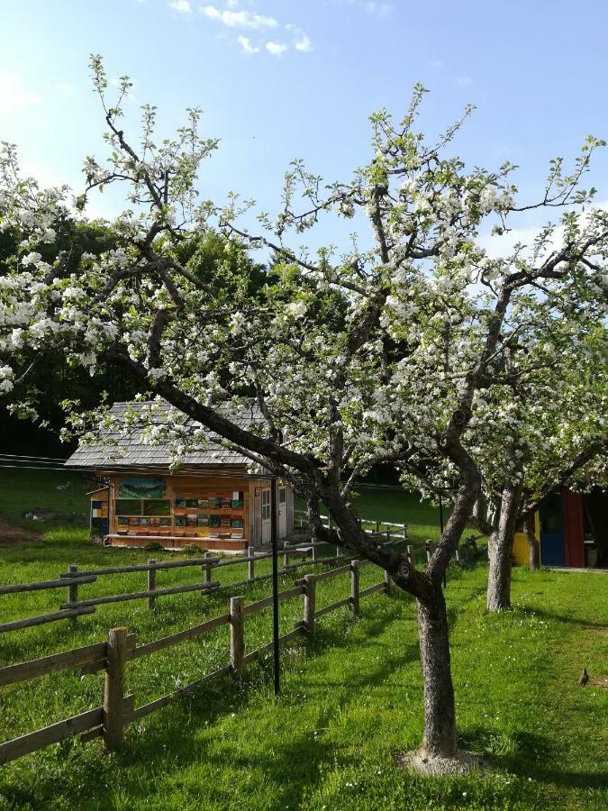 Apartments And Rooms Cerkovnik Bohinj ภายนอก รูปภาพ